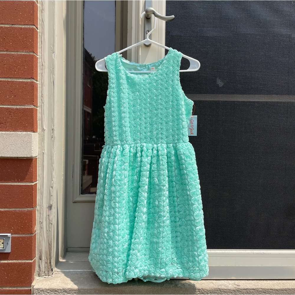 Cat & Jack Girl’s Green Rose Dress